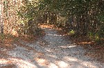 DSC_7056.JPG
