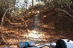 DSC_7060.JPG