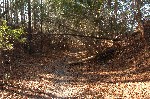 DSC_7061.JPG