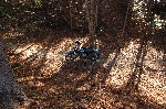 DSC_7062.JPG