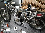 P5300016.JPG