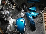 P6010059.JPG